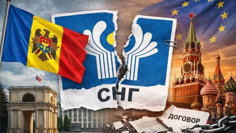 New best parada wave