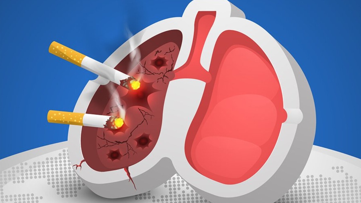 New best parada wave