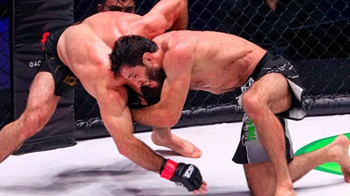 New best parada wave