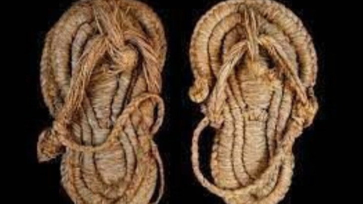 New best parada wave