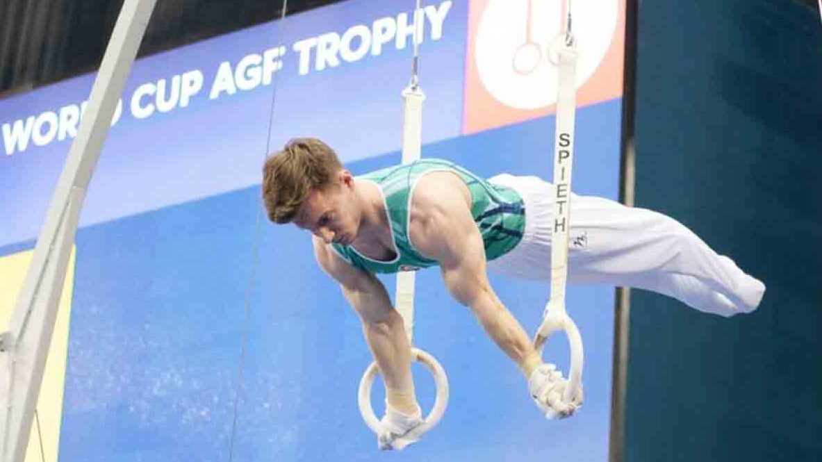 New best parada wave