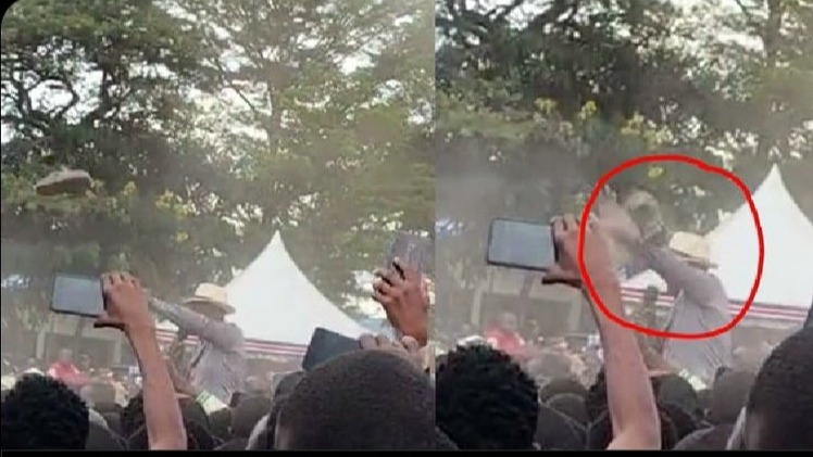 New best parada wave