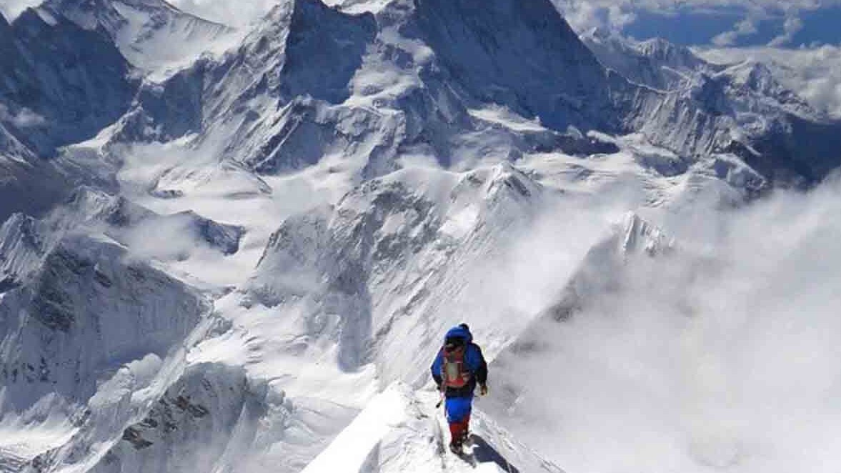 New best parada wave