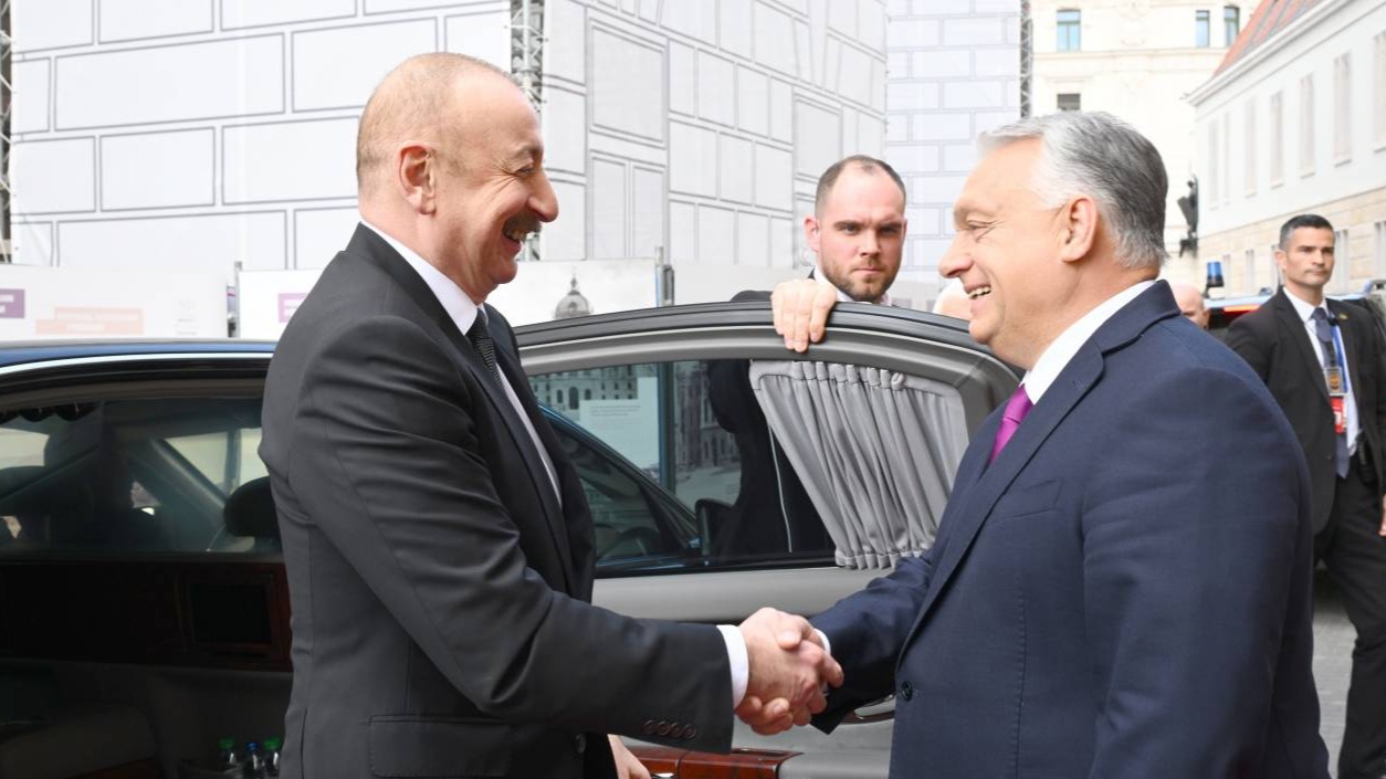 New best parada wave