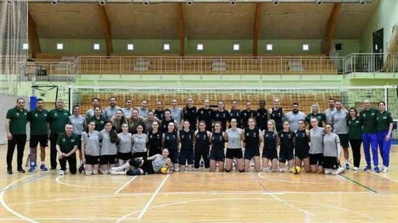 New best parada wave