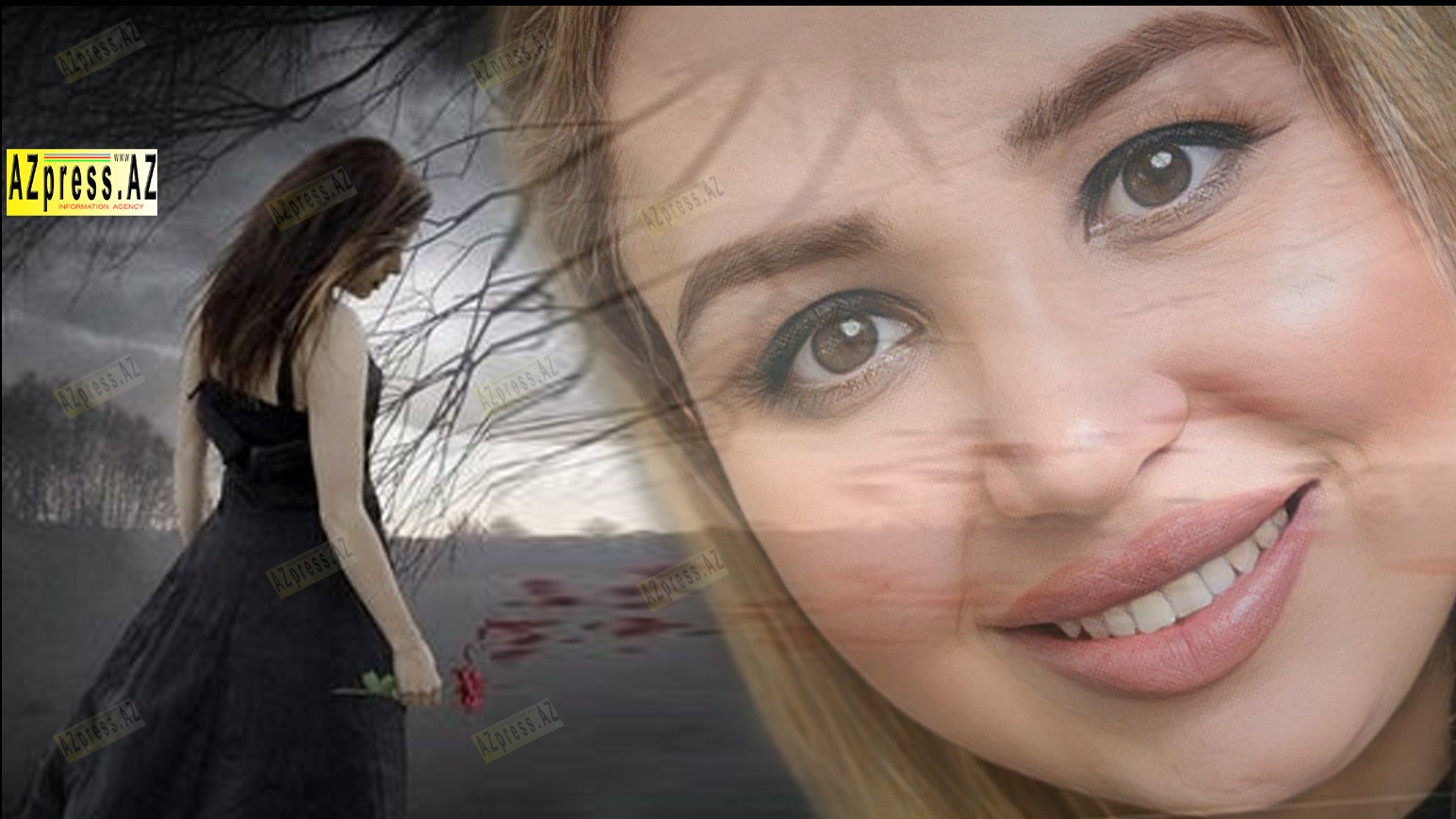 New best parada wave