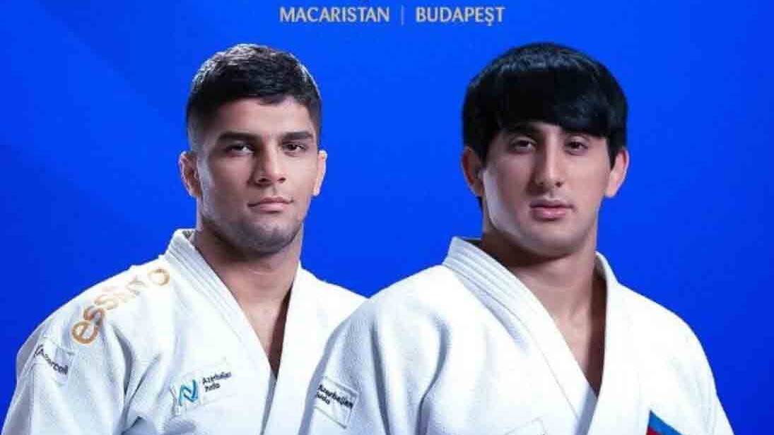 New best parada wave