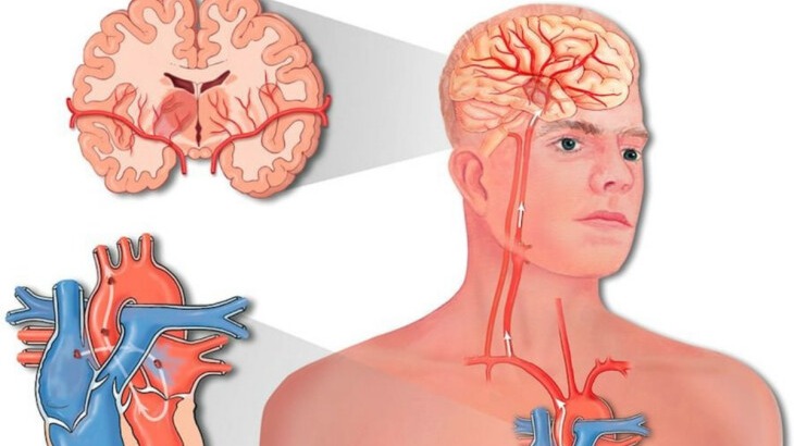 New best parada wave