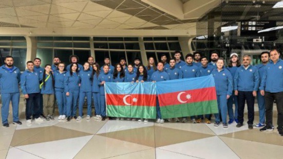 New best parada wave