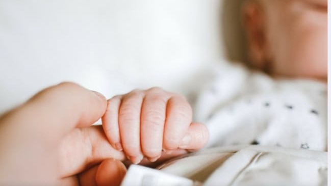 New best parada wave