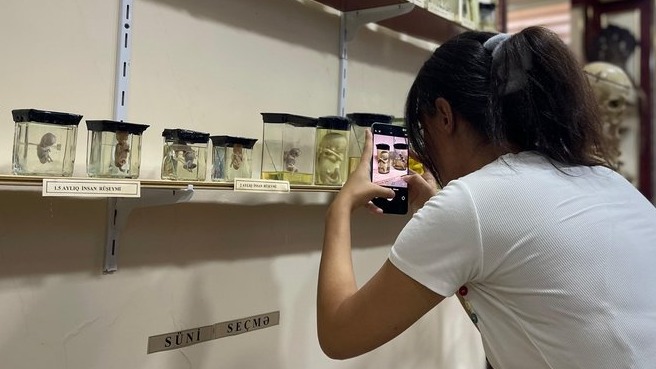 New best parada wave