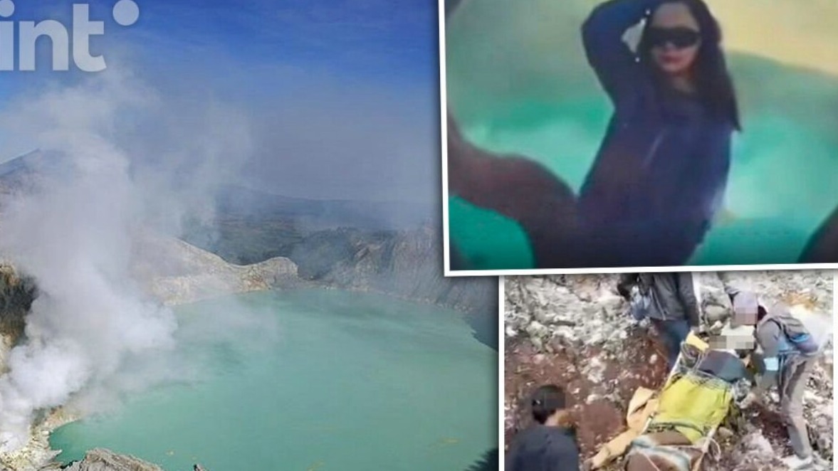 New best parada wave