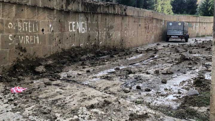 New best parada wave