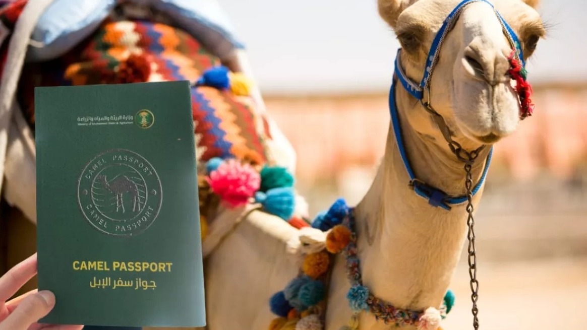 New best parada wave