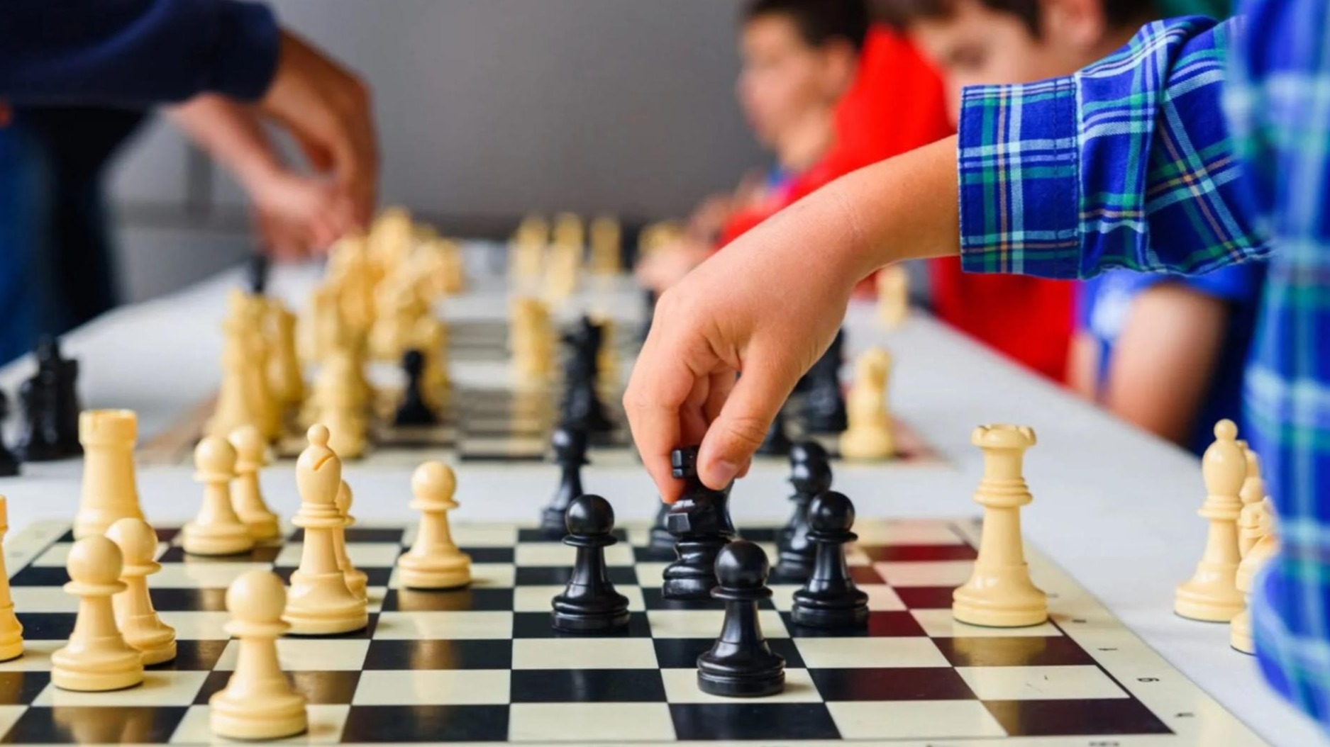 New best parada wave