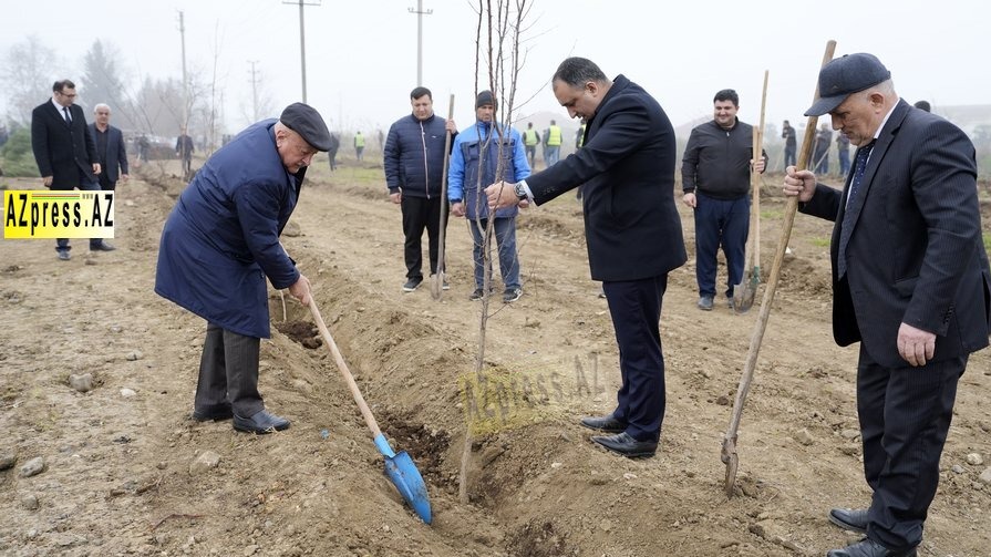 Highlights: New York Fashion Week 2015