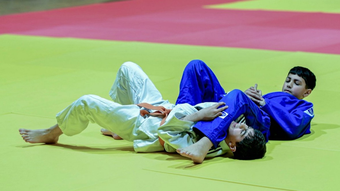 New best parada wave