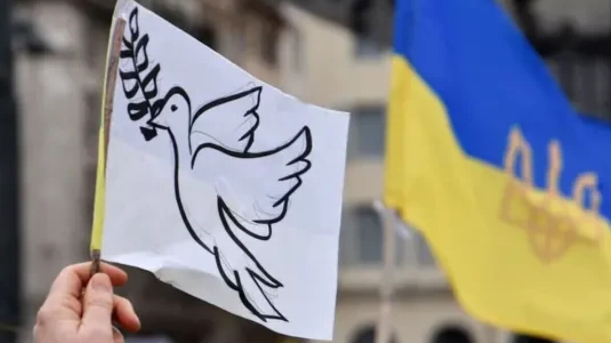 New best parada wave