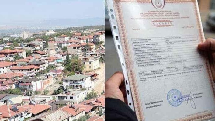 New best parada wave