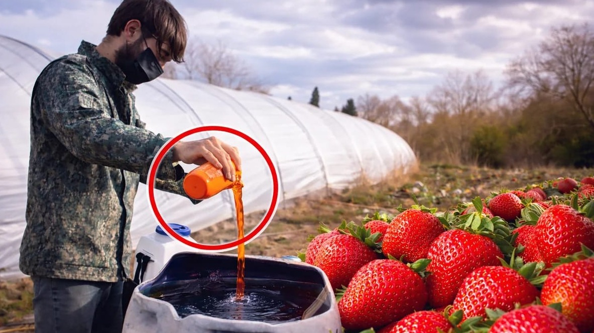 Highlights: New York Fashion Week 2015