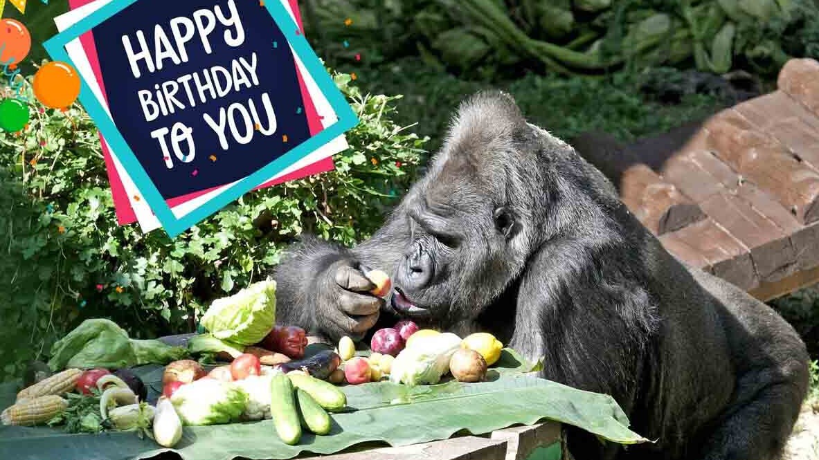 Highlights: New York Fashion Week 2015